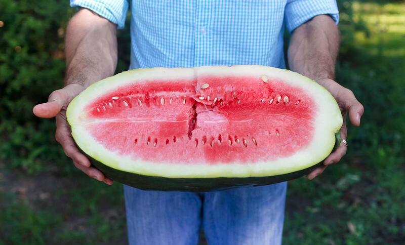 Bradford Family Farm