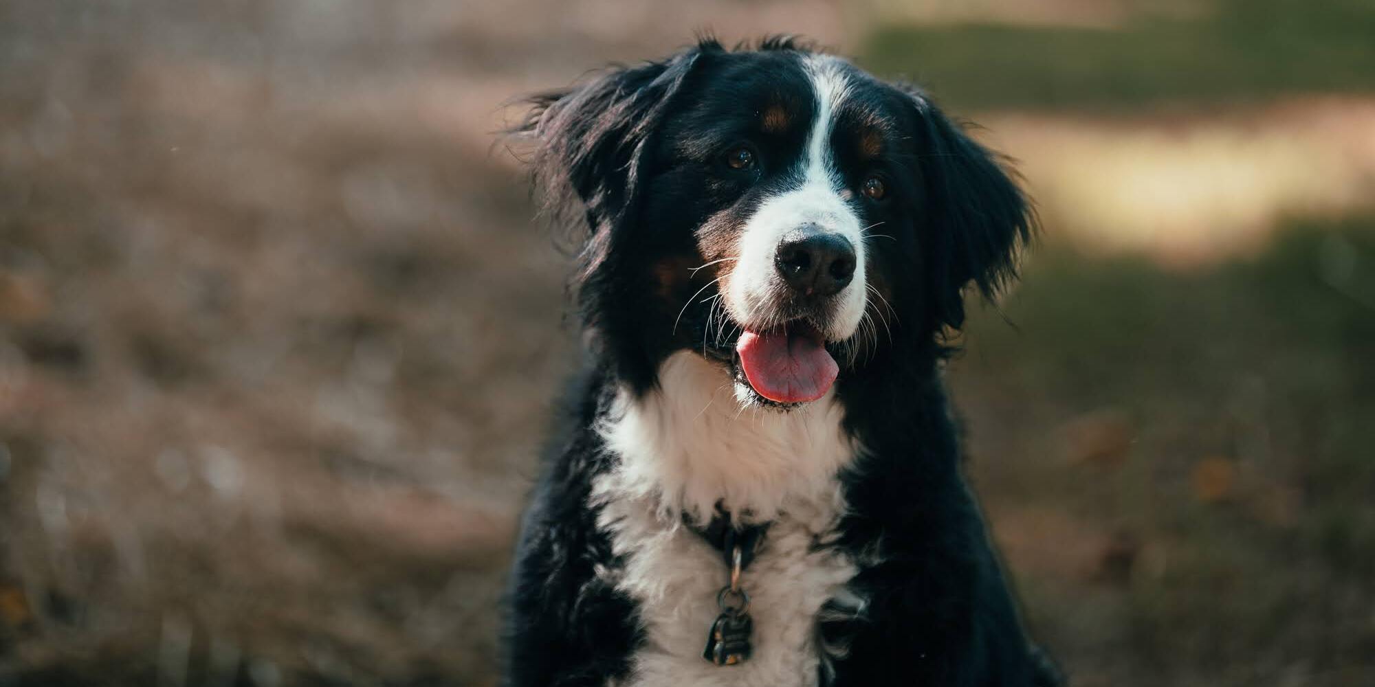 support a more active, healthier...