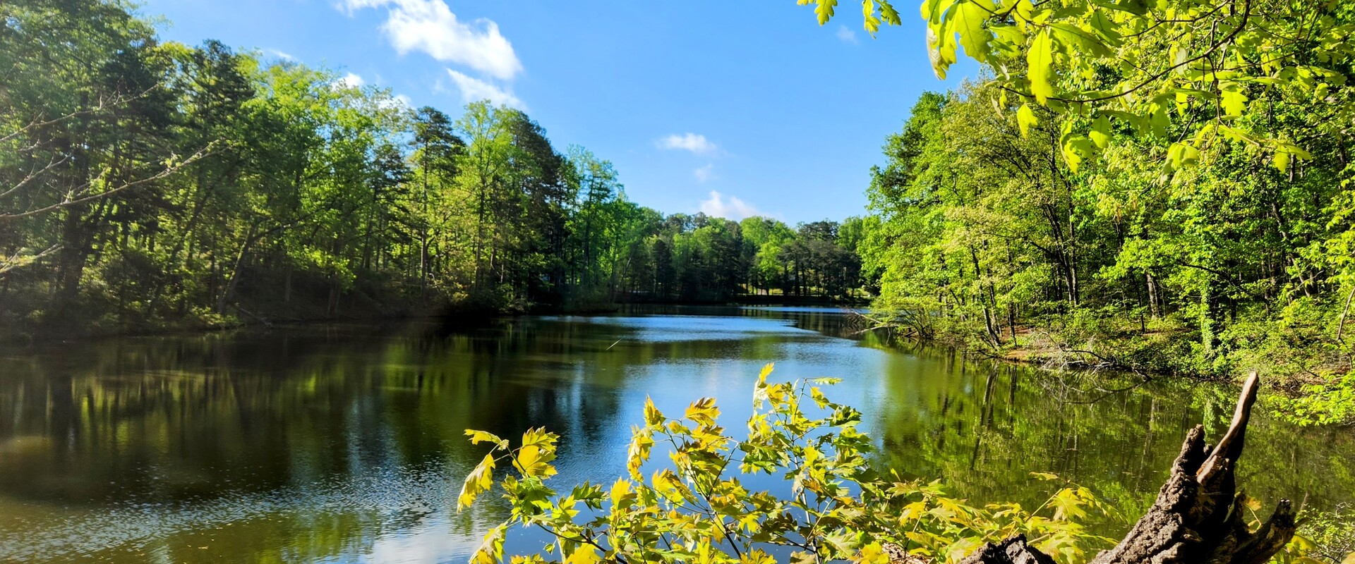 Duncan Park Revisioning Plan