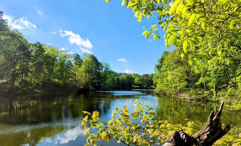 Duncan Park (walking & biking)