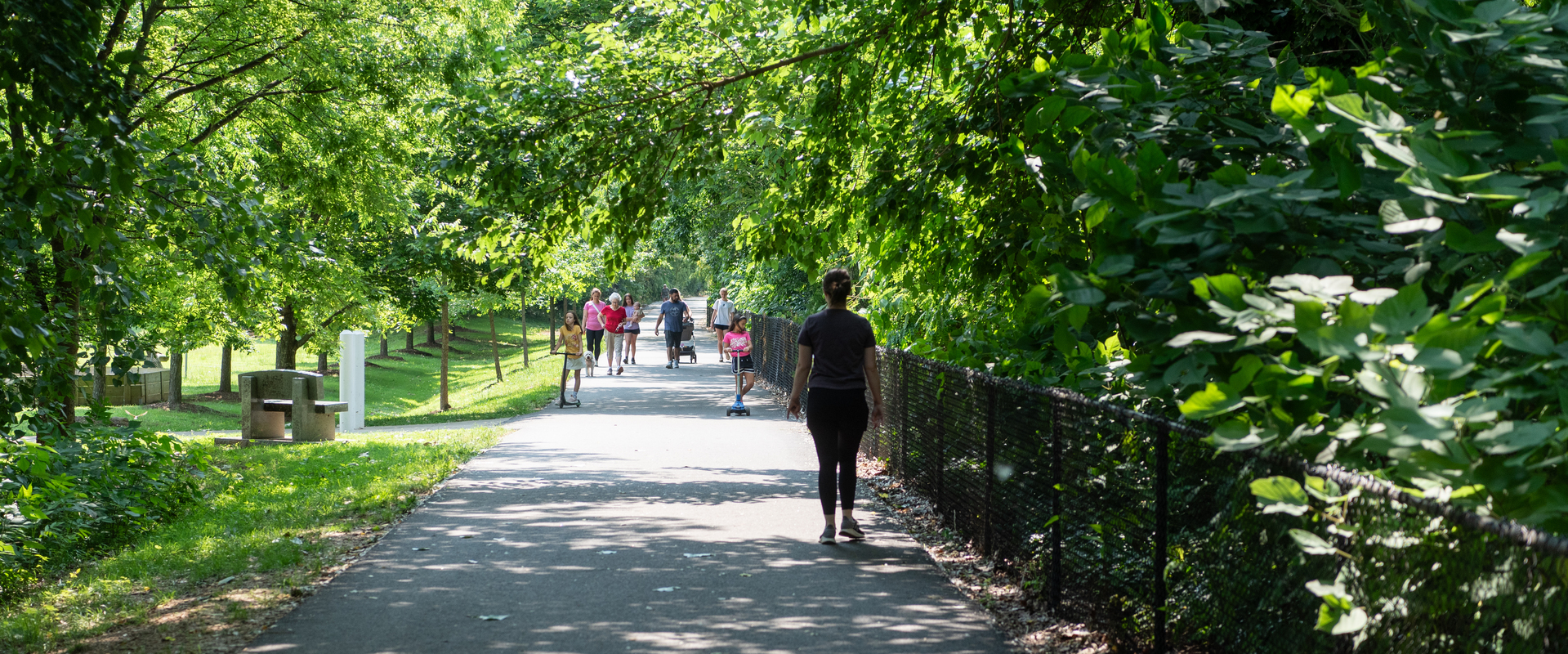 The Dan Trail Segments