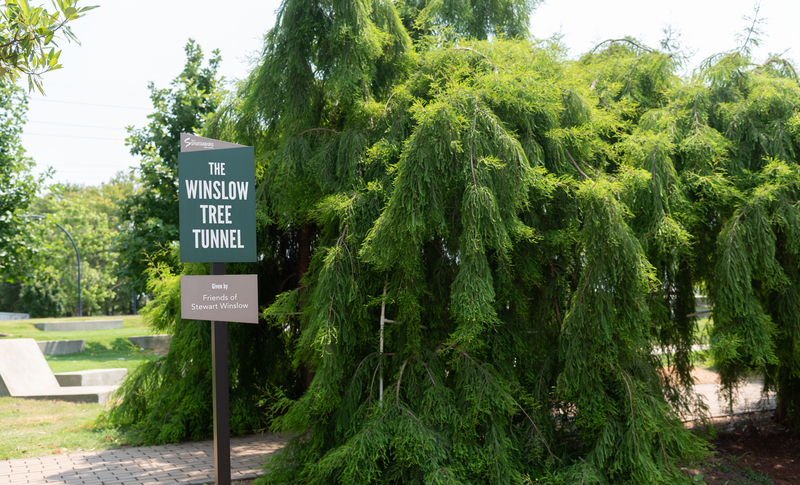 Tree Tunnel & Misting Arches