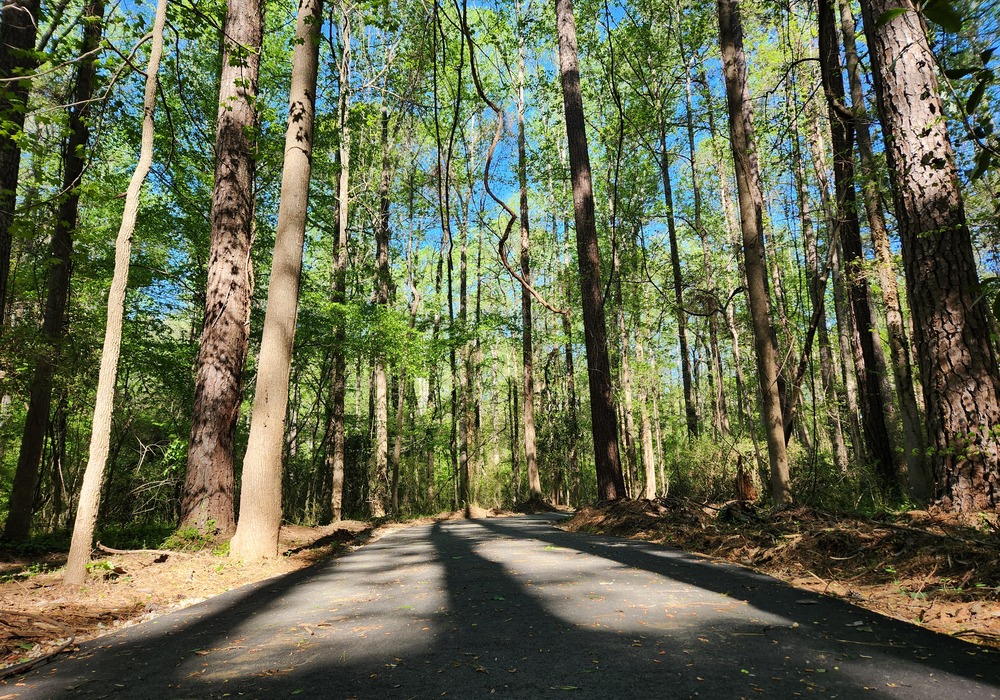 Wildflower Way Ribbon Cutting 