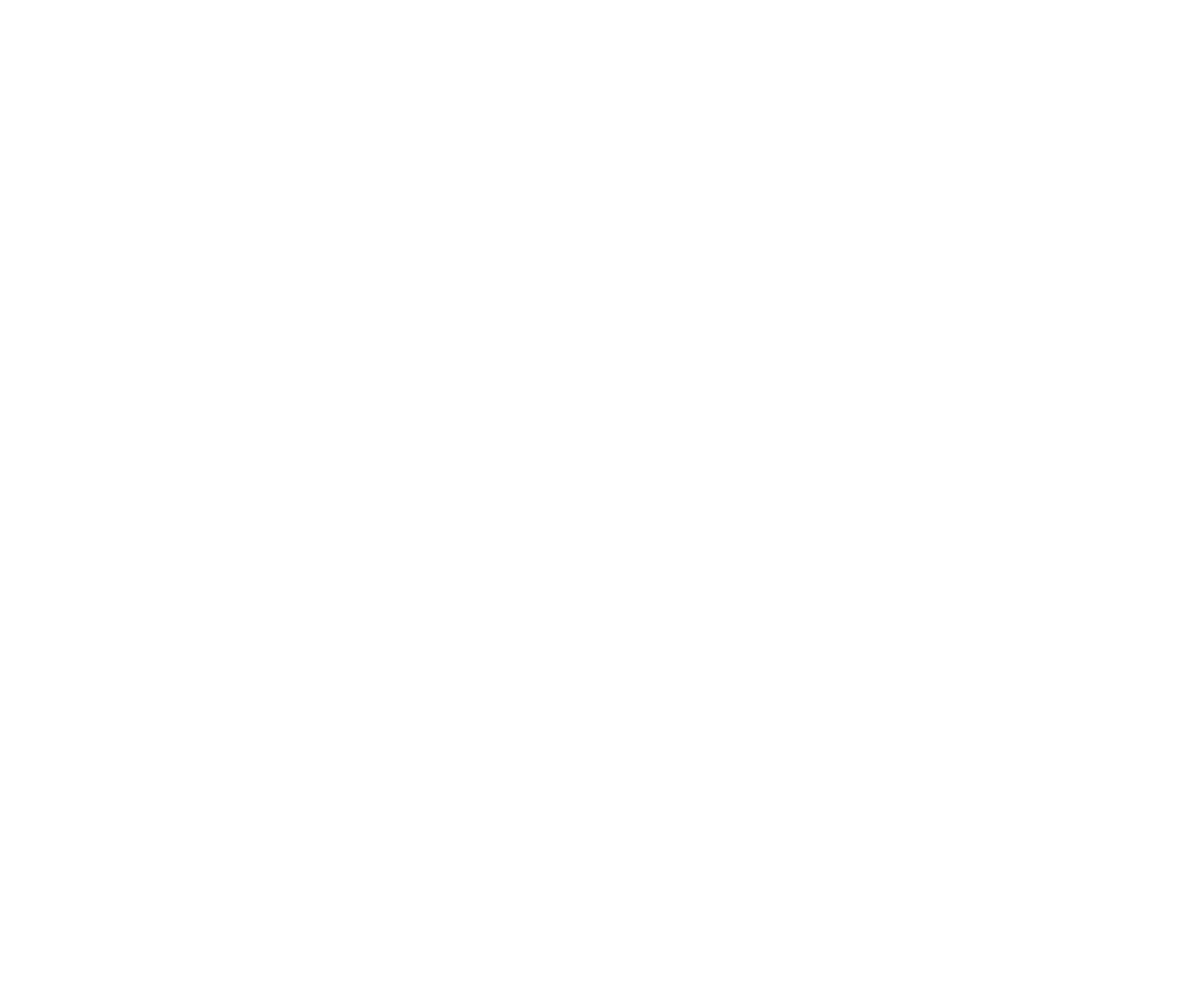 The Dan logo